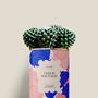 Cadeaux - Coeur sauvage - Mini Cactus - DIAIWAIE