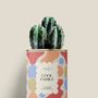 Cadeaux - Cool family - Mini Cactus - DIAIWAIE