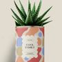 Gifts - Cool family - Maxi aloé - DIAIWAIE