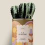 Cadeaux - La bohème - Maxi cactus - DIAIWAIE