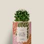 Cadeaux - La vie est une jungle - Mini Cactus - DIAIWAIE