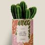 Gifts - La vie est une jungle - Maxi Cactus - DIAIWAIE