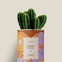 Cadeaux - Maman cool - Mini Cactus - DIAIWAIE