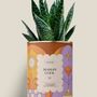 Gifts - Maman cool - Maxi Aloé - DIAIWAIE