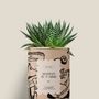 Gifts - Maman je t'aime - Mini Aloé - DIAIWAIE