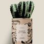 Gifts - Maman je t'aime - Maxi Cactus - DIAIWAIE