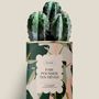 Gifts - Fais pousser tes rêves - Maxi Cactus - DIAIWAIE