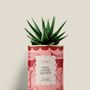 Gifts - FEEL GOOD QUEEN - Mini Aloé - DIAIWAIE