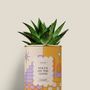 Gifts - Focus on the good - Mini Aloé - DIAIWAIE