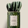 Gifts - GREEN THERAPY - Maxi Cactus - DIAIWAIE