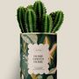 Gifts - Home Green Home - Maxi Cactus - DIAIWAIE