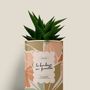 Gifts - Le bonheur en famille - Mini Aloé - DIAIWAIE