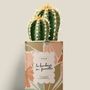 Gifts - Le bonheur en famille - Mini Cactus - DIAIWAIE