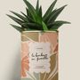 Gifts - Le bonheur en famille - Maxi Aloé - DIAIWAIE