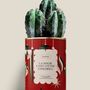 Gifts - LA MAGIE C'EST D'ÊTRE ENSEMBLE - Maxi Cactus - DIAIWAIE