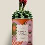 Gifts - L'AMOUR FAIT LA FORCE - Maxi Cactus - DIAIWAIE