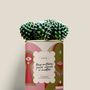 Gifts - Trop entière pour aimer à moitié - Mini Cactus - DIAIWAIE
