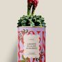 Cadeaux - Liberté égalité sororite - Maxi Cactus - DIAIWAIE