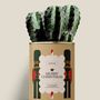 Gifts - Merry Chrismas - Maxi Cactus - DIAIWAIE