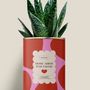 Gifts - More amor por favor - Maxi Aloé - DIAIWAIE