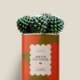 Cadeaux - Amour toujours - Maxi Cactus - DIAIWAIE