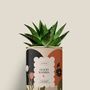 Cadeaux - Good Karma - Mini Aloé - DIAIWAIE