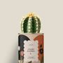Cadeaux - Good Karma - Mini Cactus - DIAIWAIE