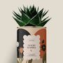 Cadeaux - Good Karma - Maxi Aloé - DIAIWAIE