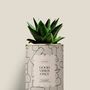 Cadeaux - Good vibes only - Mini Aloé - DIAIWAIE