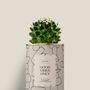 Cadeaux - Good vibes only - Mini Cactus - DIAIWAIE