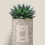 Cadeaux - Good vibes only - Maxi Aloé - DIAIWAIE