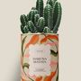 Cadeaux - Hakuna matata - Maxi Cactus - DIAIWAIE