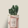 Cadeaux - Je t'aime de tout mon coeur - Mini Cactus - DIAIWAIE