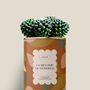 Cadeaux - La mélodie du bohneur - Maxi Cactus - DIAIWAIE