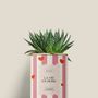 Cadeaux - La vie en rose - Mini aloé - DIAIWAIE