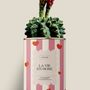 Cadeaux - La vie en rose - Maxi Cactus - DIAIWAIE