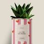 Gifts - La vie en rose - Maxi Aloé - DIAIWAIE