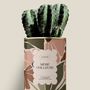 Gifts - Mère veilleuse - Maxi Cactus - DIAIWAIE