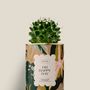 Cadeaux - Oh happy day - Mini Cactus - DIAIWAIE