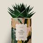 Gifts - Oh happy day - Maxi Aloé - DIAIWAIE