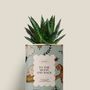 Gifts - To the moon and back - Mini Aloé - DIAIWAIE
