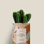 Gifts - Today is a good day - Mini Cactus - DIAIWAIE