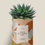 Gifts - Today is a good day - Maxi Aloé - DIAIWAIE