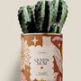 Gifts - Queen Mum - Maxi Cactus - DIAIWAIE