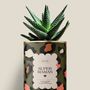 Gifts - Super maman - Mini Aloé - DIAIWAIE