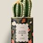 Cadeaux - Super maman - Maxi Cactus - DIAIWAIE
