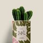 Cadeaux - Tu es la créatrice de ta vie - Mini Cactus - DIAIWAIE