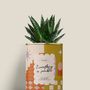 Cadeaux - Everything is possible - Mini Aloé - DIAIWAIE