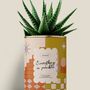 Cadeaux - Everything is possible - Maxi Aloé - DIAIWAIE