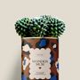 Cadeaux - Wonder mum - Mini Cactus - DIAIWAIE